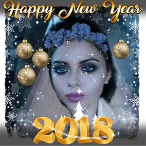 Meet your Posher, Dora